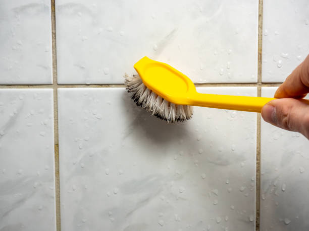 Best Affordable Mold Removal  in North Eastham, MA