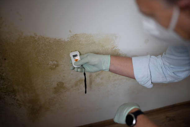 Water Damage Restoration in North Eastham, MA
